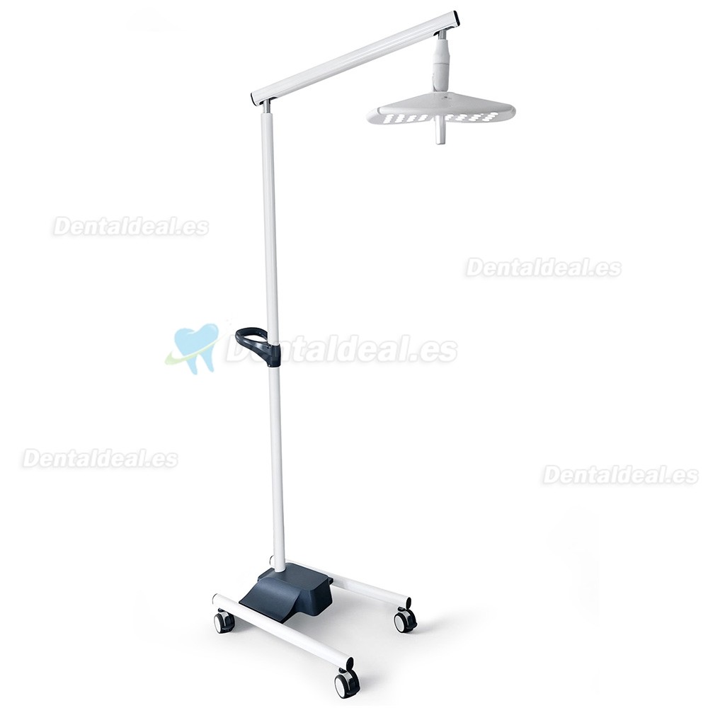 KWS KD-2036L-4 L&aacute;mpara Dental LED M&oacute;vil de Pie 80W con 4 Ruedas